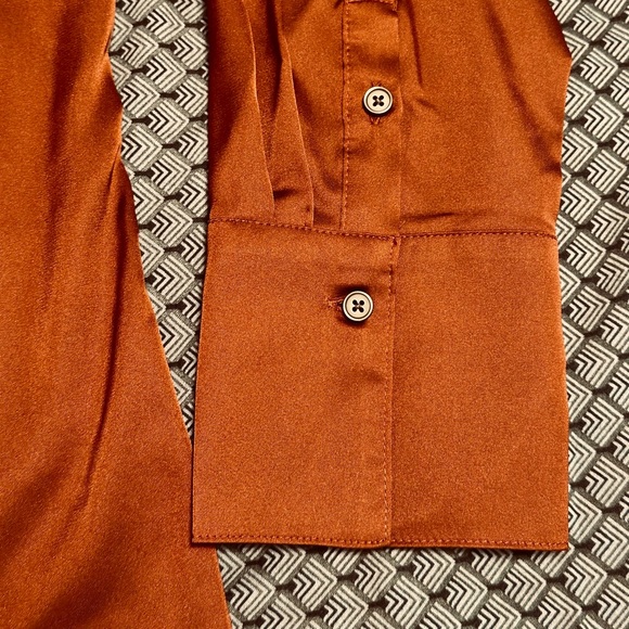NWT Rust satin stretch blouse by Banana Republic - Size L Petite - Picture 5 of 10